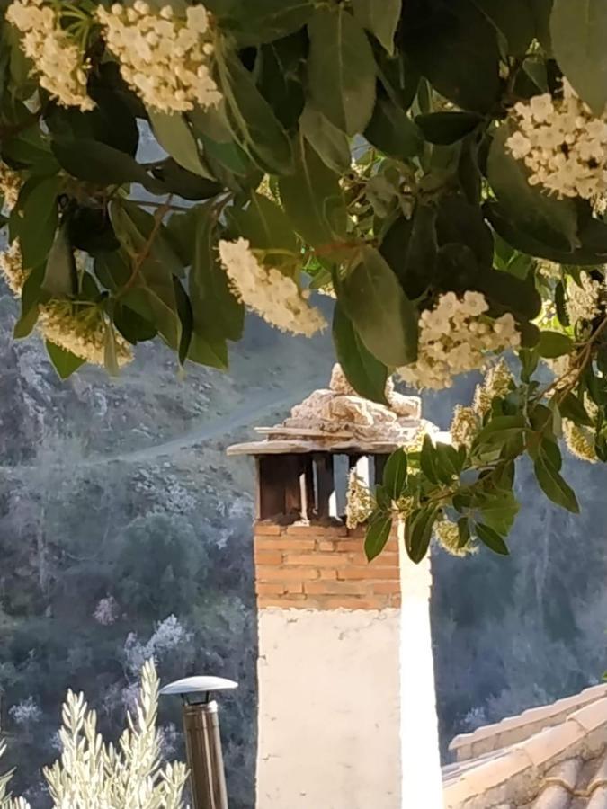Gasthaus Cortijo La Solana Guejar Sierra Exterior foto
